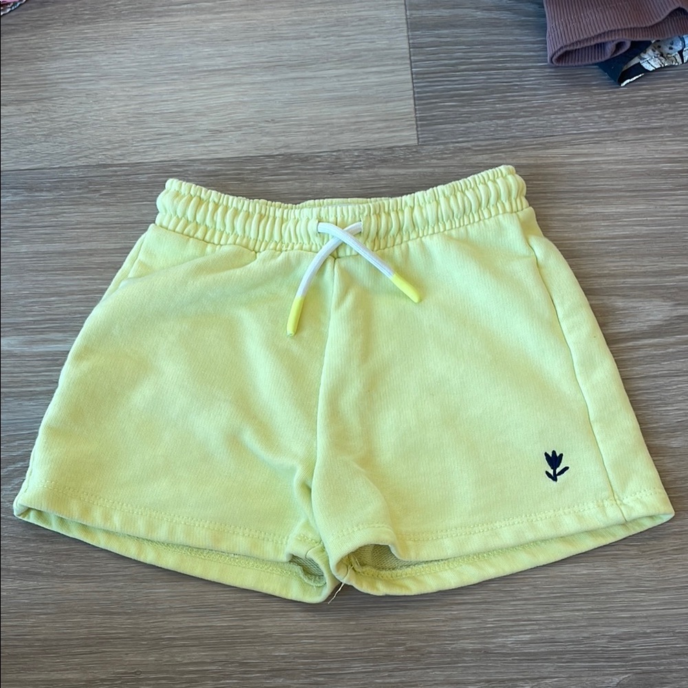 Zara shorts